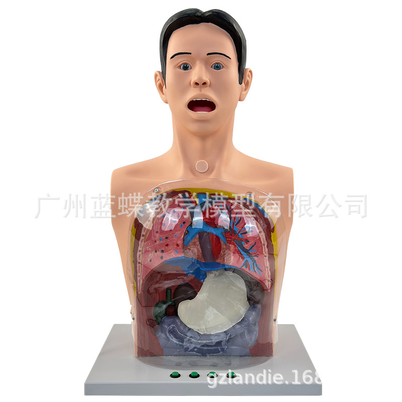 ����ϴθģ�� ����ʾ͸��ϴθ����ģ�� θ����ѹѵ����ѧģ��ҽ��