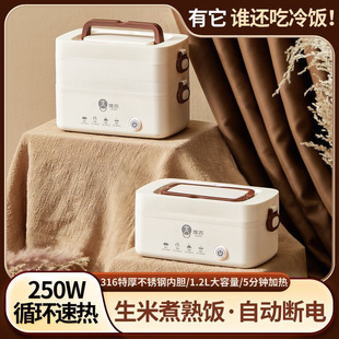 Electric Lunch Box for Heating and Keeping Food Warm, Mini Portable Cooking and Food Container for Office Workers, Can Steam and Cook with Automatic Power-Off