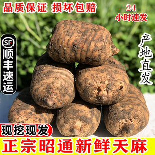 �����ͨ���r����Ұ��С�݉Ξ�����������F�ݸ�