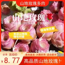 ɽ��õ��ˮ���ҾƱ���Ү�_�u������ֲ�������҃��̨�Ϙ�����Gֲ