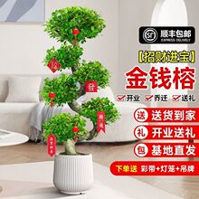 ���X����ؔ�u�X��͏d�k���҃ȴ����辰���ļ��lؔ��