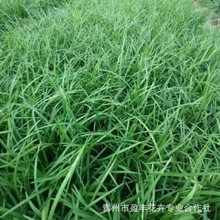 ���س��ۼ��~�������������ձ��������ͺ�ͥԺ���̄e�����N��ľ