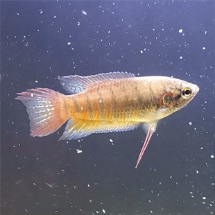 �Ї����~���~�^�p�~�絭ˮ�~��ˮ�~�����~С���ͻ���w���lˮ��