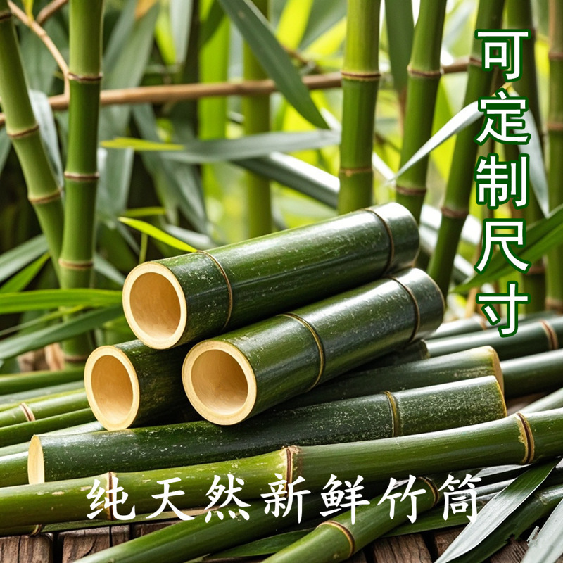新鲜竹子竹竿竹棍竹筒节节高手工花艺装饰幼儿园婚庆材料创意批发|undefined