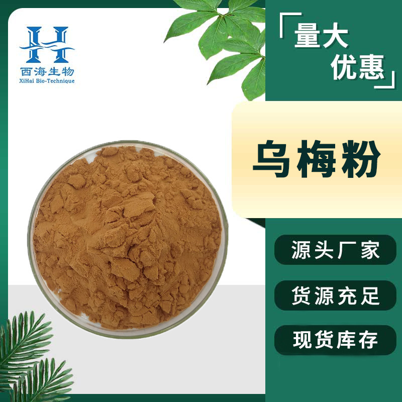 99%水溶性乌梅粉 喷雾干燥固体饮料烘焙原料厂家直供现货乌梅粉