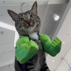 浩克猫手臂宠物小狗玩具拍照道具3d打印可爱搞笑创意猫衣服背包