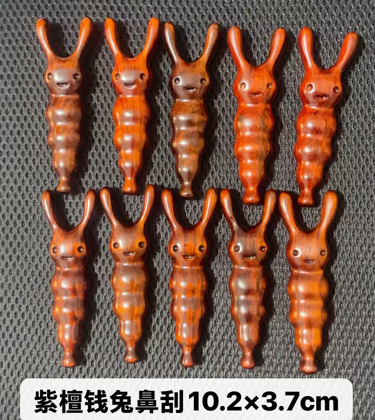 로즈우드 머니 토끼
