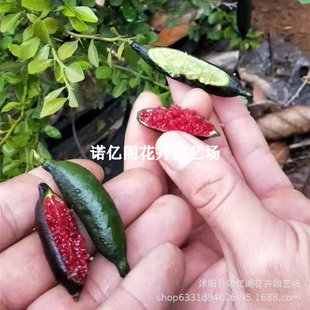 ��ָ���ʘ���o�ѱ�Ƥ���~����ˮ�ʘ��玧�����~���������̨ͥԺ