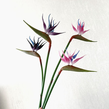 仿真花 单支鹤望兰软胶天堂鸟桌面家居装饰花束 插花配件道具假花