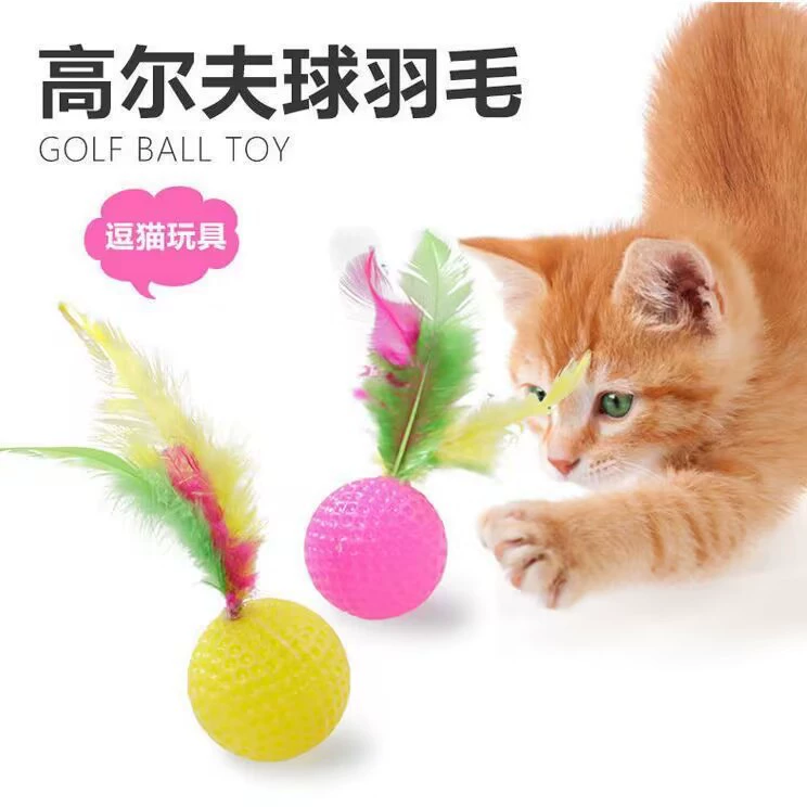 Кошка Игрушка Перо Гольф Шелест Кошка Мяч Кошка Ловить Мяч Кошка Самостоятельная Привет Интерактивная Игрушка Pet