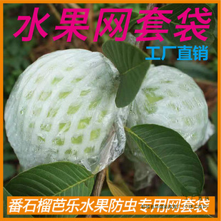 Guava Bagging Mesh Bag, Guava Insect-Proof Mesh Bag, Integrated Foam Packaging Bag, Pomegranate Bag, Fruit Mesh Bag