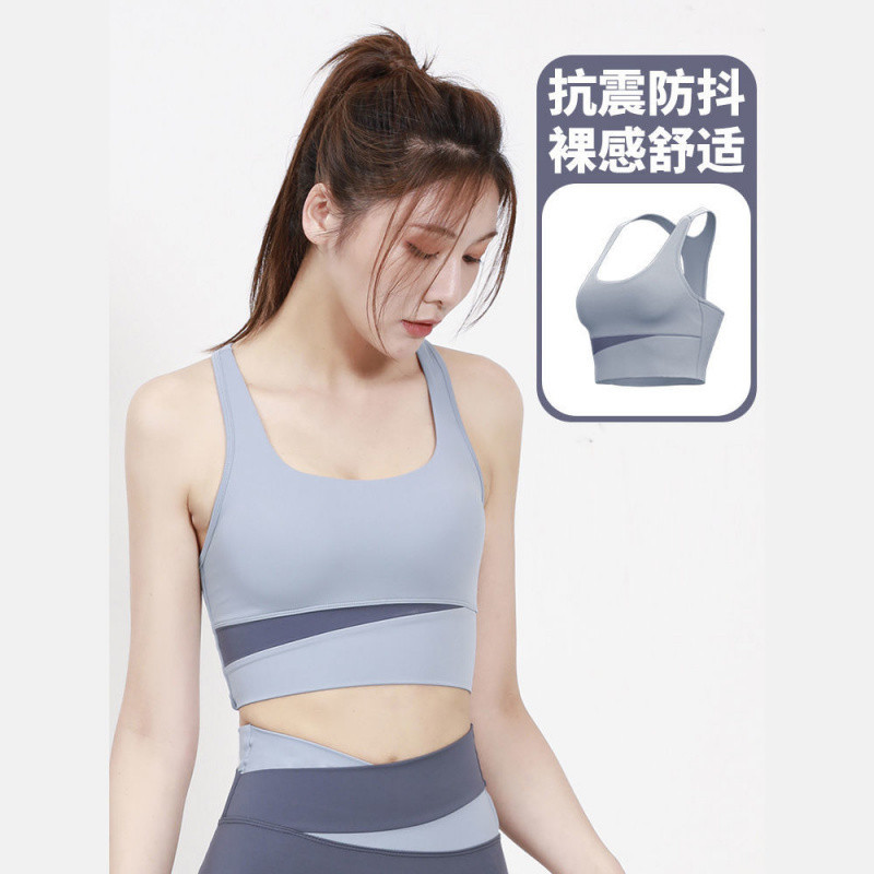 그레이 레이크 블루 브라