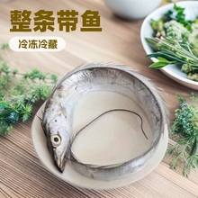 整条鲜冻带鱼小眼睛带鱼整条东海野刀鱼冷冻500g野生东海带鱼