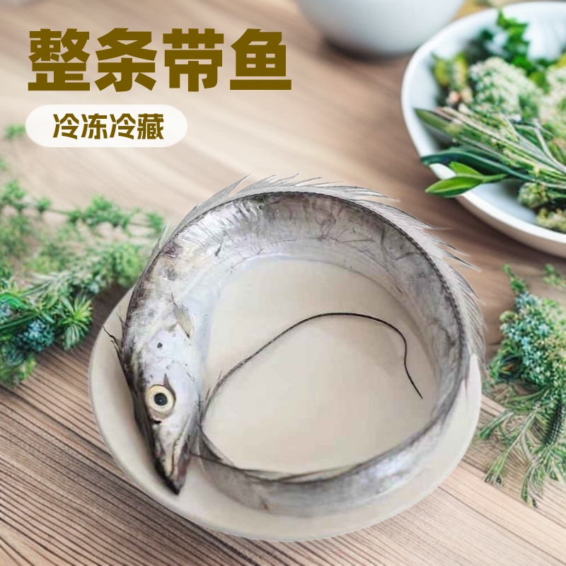 整条鲜冻带鱼小眼睛带鱼整条东海野刀鱼冷冻500g野生东海带鱼