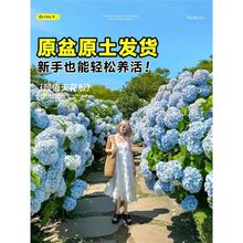 �ذ꽑���������Ϙ��o�M�Ĵ��玧�����ļ��_����ֲ���҃�����