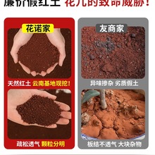 �t��΢�������������FԪ���S���t�����{ݮ�����辰��������