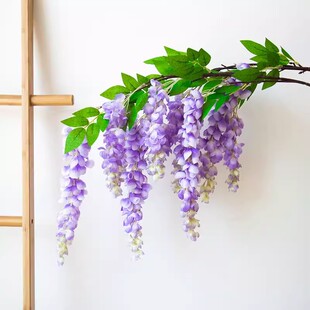 ���氢�������ٻ��L֦���ϼٻ����������ٻ�Y���b����b���