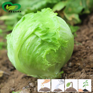 �Y�����˷N�� �r��ˈ@�����߲��׷Nֲ��o��������������