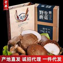 东北特产当年货农家自产蘑菇 无根小香菇足干货菌味香浓 煲汤煎炒