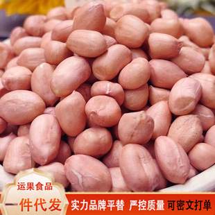 ����������2024����؛���w����ɳ�r�������l�������������r���Ԯa