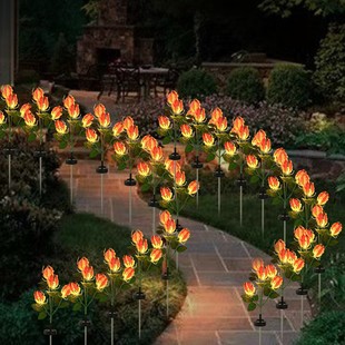 �¿�̫��ܻ���ٺϻ��� 4LED����ͥԺ���^�� ��ƺ��؟����S�F؛