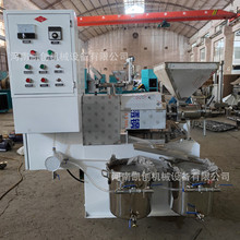 新型螺旋榨滤一体榨油机多功能冷榨带上料榨油机油坊用大型榨油机