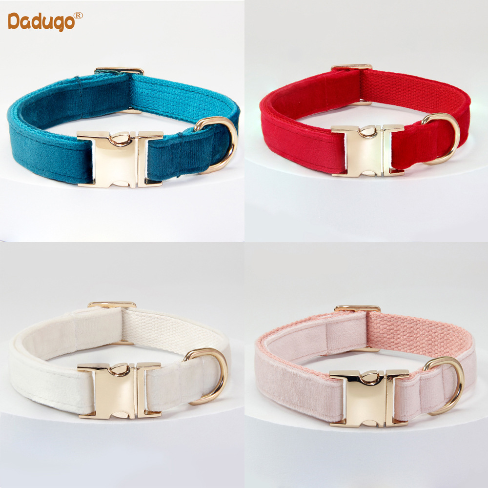 Dog Leash and Collar White