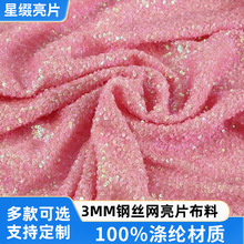 亮片绣3MM钢丝网亮片布料幻彩装饰婚庆拍摄网红背景布礼服毛毛布