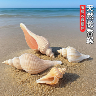 ��Ȼ������ؐ���L���ݽ����ݹ��ݵ�ʿ̖�Ƿ����ղضYƷ�[����̖