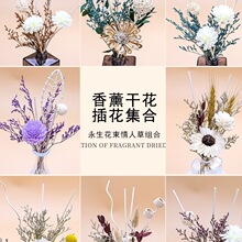 �o����޹��Ȼ�ɻ�����������޹�҃�ɢ���b��ٗl�]�l���U�㻨���b