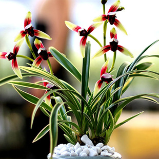�m���� ���m���N�ļ��m �����_����߅��ˇ�������҃����Խ���t�