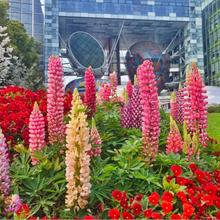 NļN_׻ͥԺ⻨Ѷ޸ⶹN