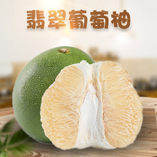福建翡翠葡萄柚  代发1/9斤琯溪蜜柚当季平和青柚子新鲜孕妇水果