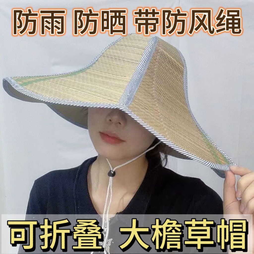 二龙湖浩哥之天下无赖