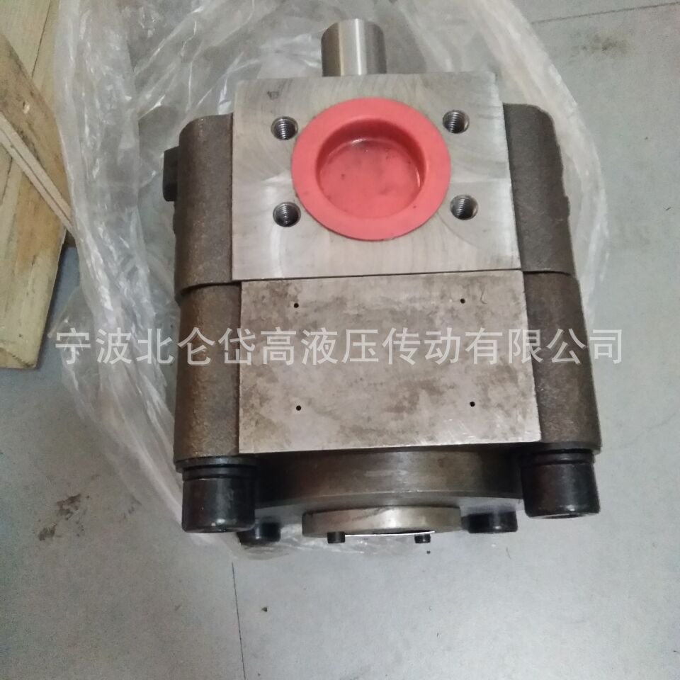 齿轮泵NB-C100F   工业泵
