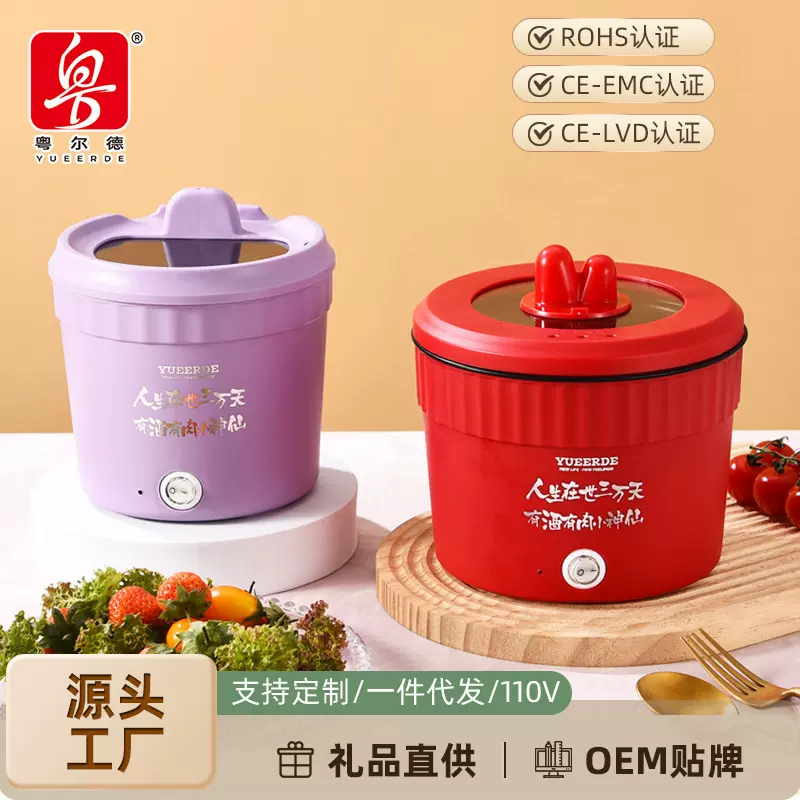 网红爆款宿舍小功率多功能迷你电煮锅蒸炒煎煮一人食泡面电锅