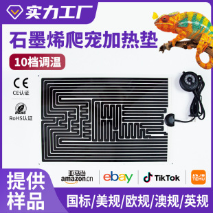 ů�������ӟ�|�������~�~�׼ӟ�Ƭ����������x�l��Ƭʮ�n�ؿ�