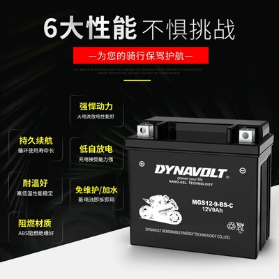 Fierce Lion Motorcycle Battery Car battery/battery