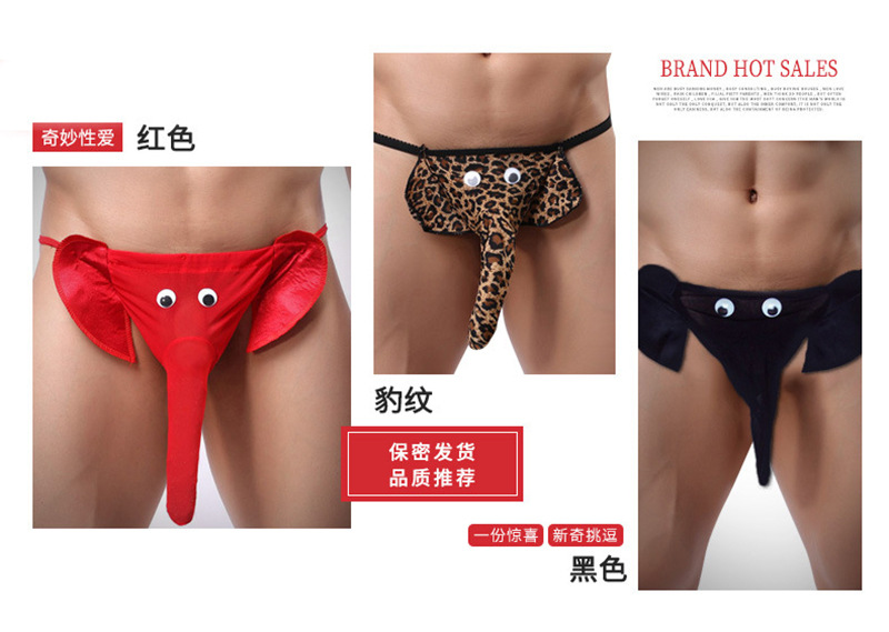 Xiuaisha Men’s Mesh Perspective Elephant Nose Thong, Leopard Print One Size — detail image 4
