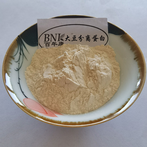 Soy Protein Isolate with 90% Soy Protein Content, Nutritional Fortifier, Soy Protein