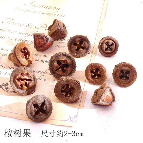 [深灰色 桉树果10个-干花包]