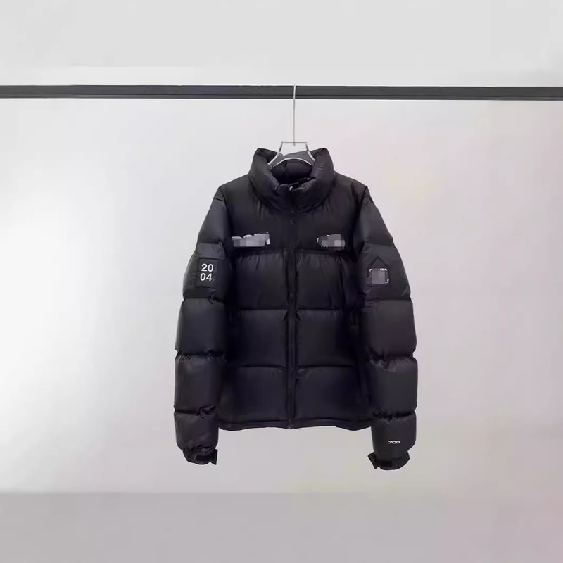 Putian North Face down Jacket 15Th Anniversary Dsm Co-Branded Men's Jacket Coldproof White Duck down Filling Limited Edition