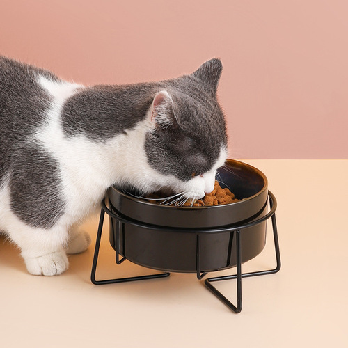 Ceramic cat bowl, cat food bowl, dog bowl, dog bowl, drinking bowl, food bowl, cervical vertebra protection pet supplies, ceramic double cat bowl