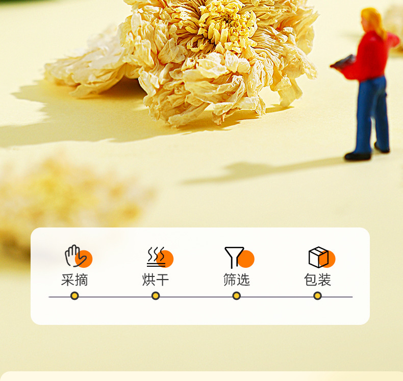 Huangshan Gongju White Chrysanthemum Flower Tea 25g Jar Dried Chrysanthemum for Daily Herbal Tea specifications