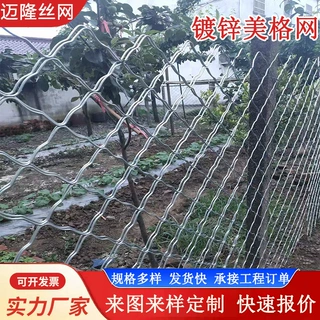定制热镀锌美格网铁网格网菱形孔阳台窗户防护网网格片养殖围栏网