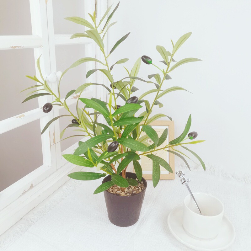 Cross-Border Hot Selling Simulated Olive Tree Money Leaf Tree Potted Home Office Green Plant Display Decorative Olive Tree Cross-Border Hot Selling Simulated Olive Tree Money Leaf Tree Potted Home Office Green Plant Display Decorative Olive Tree