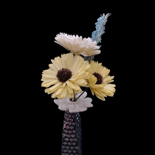 ���F؛�����Ҕ[� �F�����s�մɻ�ƿ �ɻ��U��ͨ�ݻ� ��޹���