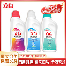 立白漂白水600g衣物漂白剂专洗白色衣物漂渍液酒店专用厂家整箱批