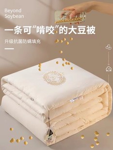 Class a Soy Fiber Quilt Winter Quilt Core Thickeneded Warm Quilt in Winter Summer Spring & Fall Single and Double Universal for All Seasons