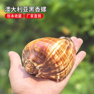 ��Ȼؐ�����ݰĴ����������� �~��ˮ���쾰�ҾӔ[���ľ�з��Q��